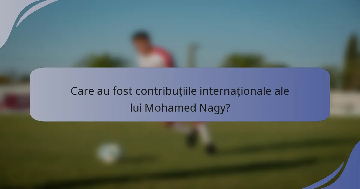 Care au fost contribuțiile internaționale ale lui Mohamed Nagy?