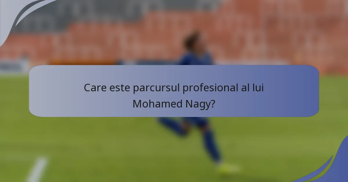 Care este parcursul profesional al lui Mohamed Nagy?