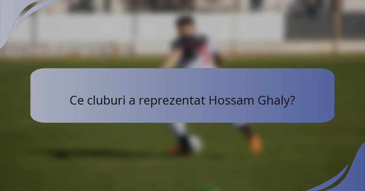 Ce cluburi a reprezentat Hossam Ghaly?