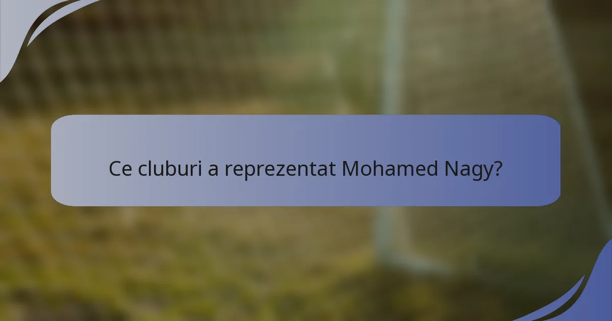 Ce cluburi a reprezentat Mohamed Nagy?
